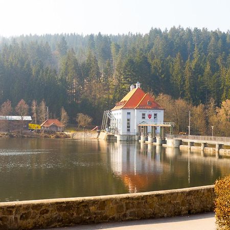 וייכטאך Ferienhaus Nr 15, Typ A, Feriendorf Jaegerpark, Bayerischer Wald מראה חיצוני תמונה
